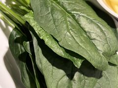 -浩爷羊蝎子火锅(望京店)