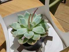 -四季餐厅·新津菜(环湖中路店)
