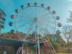 -森波拉奇妙世界