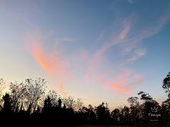 -春花秋色城市公园