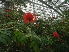 -南山植物园