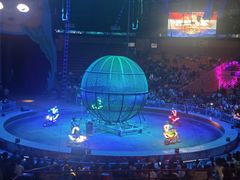 -俄罗斯国家大马戏团