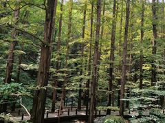 -香山公园