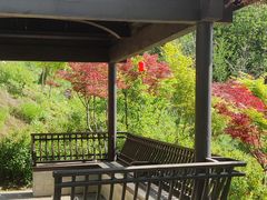 -大伊山景区