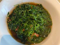 金花菜蚌肉-金典银峰老鹅馆·昆山菜(亭林公园店)