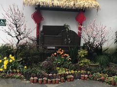 -楼外楼(玉泉店)