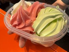 -萨朗刀克冰淇淋雪花凉(植物园店)