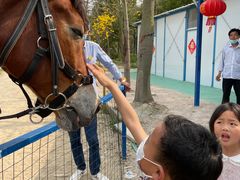 -广东花都香草世界旅游度假区