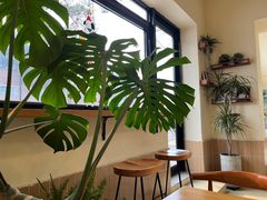 -小意思咖啡店(草桥店)