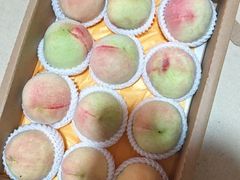 -老袁家蜜桃农场·阳山水蜜桃