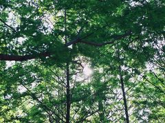 -白水寺森林公园