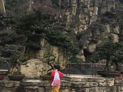 -老幺泉水鸡