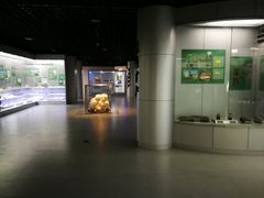 -中国地质大学逸夫博物馆