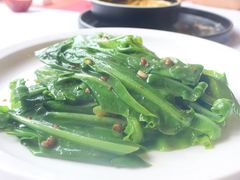-若蘭慈·无国界素食料理(欢乐海岸店)