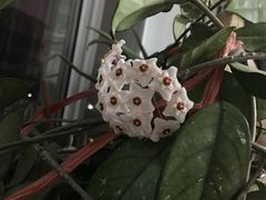 -过桥缘·过桥米线(鲁能城店)