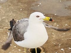 -星海广场