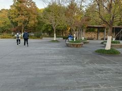 -昆山城市生态森林公园