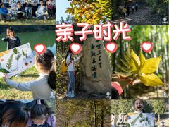 -四明山国家森林公园