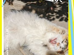 -白云观