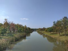 -上海滨江森林公园