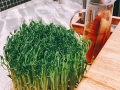鲜豆苗-好彩猪肚鸡(正弘城店)