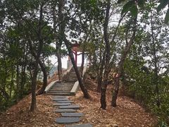 -佛山市三水区大南山森林公园