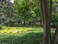 -八大关景区
