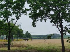 -嘉北郊野公园