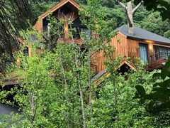 -杭州开元森泊度假乐园