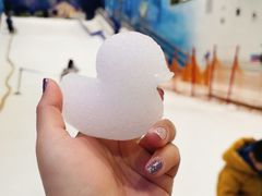 -Mr·Kuma酷么先生雪之乐园