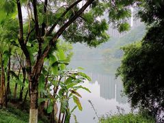 -重庆彩云湖湿地公园
