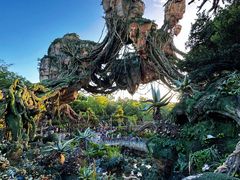 -奥兰多迪士尼动物王国乐园