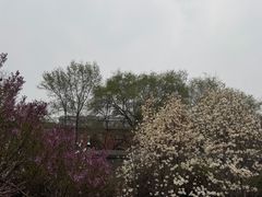 -张学良旧居陈列馆