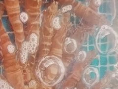 -三亚火车头万人海鲜广场