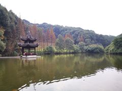 -忠山公园