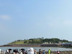 -小麦岛公园