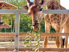 -水上乐园·欢乐世界