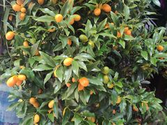 -三旗百汇商品城