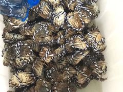 -太湖好灶头土菜馆(石公路店)