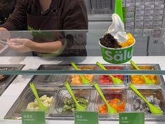 -Salud撒露欧洲冻酸奶(蓝色港湾店)