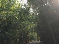 -江苏三台山国家森林公园