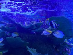 -左海海底世界