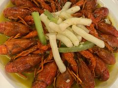 -96农蝎虾(江桥老街店)