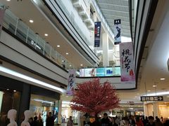 -永旺梦乐城国际商城(北清路店)