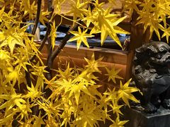 -陈家小院(阜昌路店)