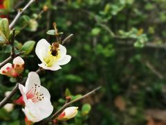 -白塘生态植物园