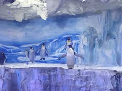 -青岛极地海洋世界-停车场