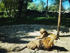 -北京野生动物园