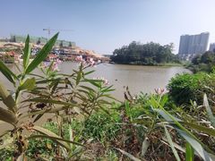 -台山颐和温泉城