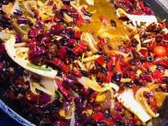 -老板恋上鱼(恒隆广场店)